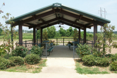 pic11
